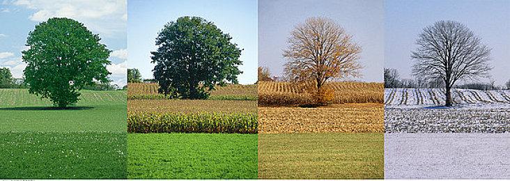 任天堂Switch主机售出1.32亿台 销售额超739亿美元